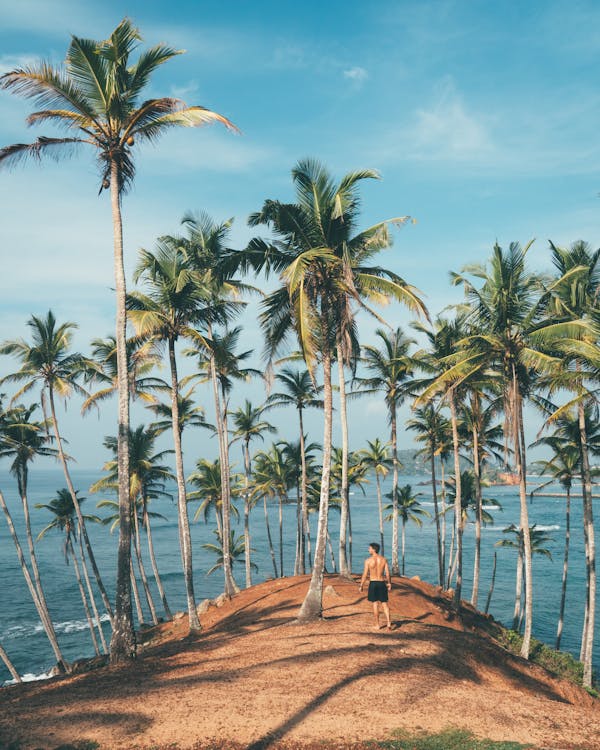 Best Beaches in Goa